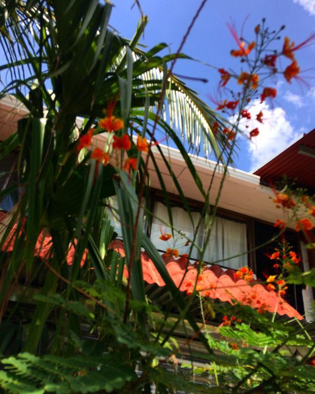 Flamingo Cabinas Hotell Playa Flamingo Exteriör bild
